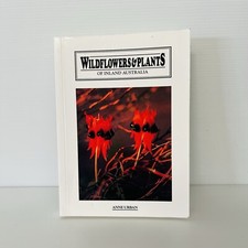 Wildflowers and Plants of Inland Australia by Anne Urban Paperback