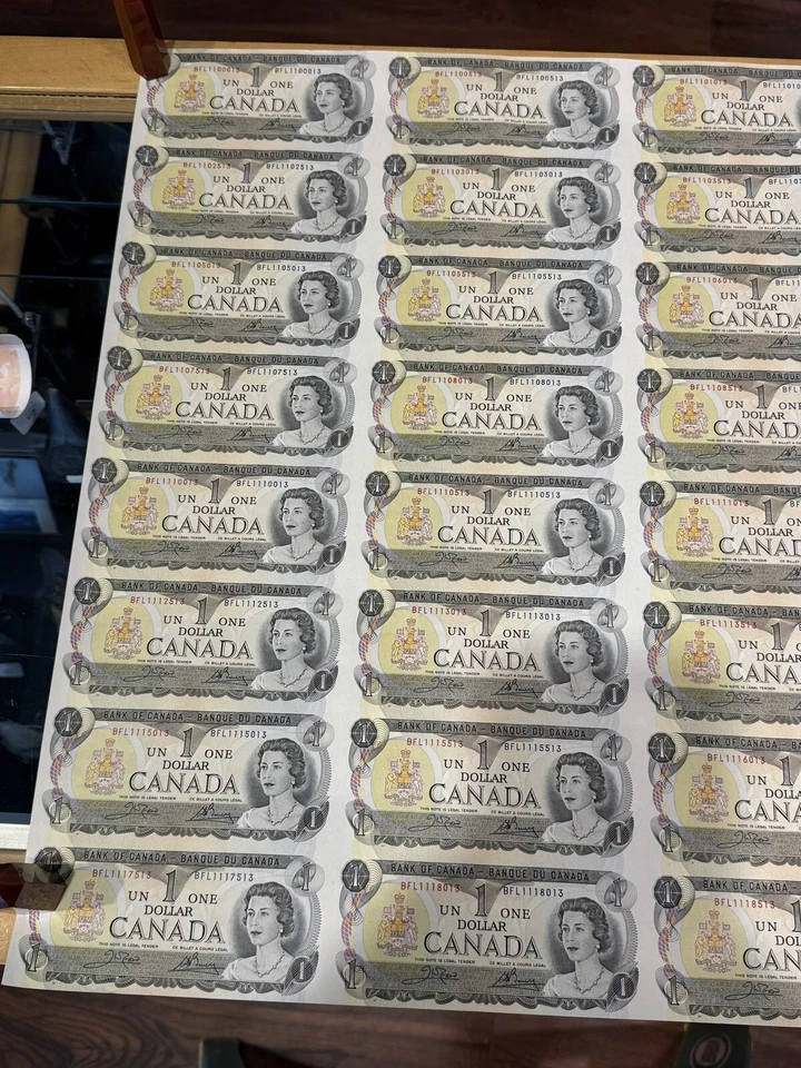 Rare 5 x 8 UNCUT SHEETS 1973 Bank of Canada $1 Banknote, rolled, Excellent Grade - Image 4 of 4