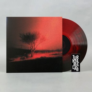 Joji Nectar Vinyl | eBay