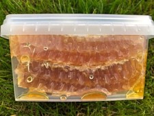 Pure Natural Raw Cut Honey Comb 500g (DIRECT FROM THE HIVE) New Harvest 2025