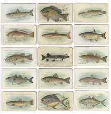 c1910's T58 Sovereign Tobacco Card - Fish Series - 15 Different - Buy 1 or All!