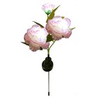 Bild 22 von 28