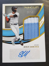 2022 Immaculate Collection Jesus Sanchez Jumbo Socks Signatures Relic Auto 29/49