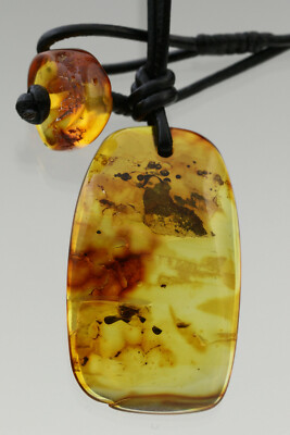 Fossil ANT Genuine BALTIC AMBER Amulet Pendant Leather String 5.7g 190514-18