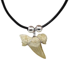 Shark Tooth Necklace for Men, Teens Kids - Genuine Shark Tooth Pendant