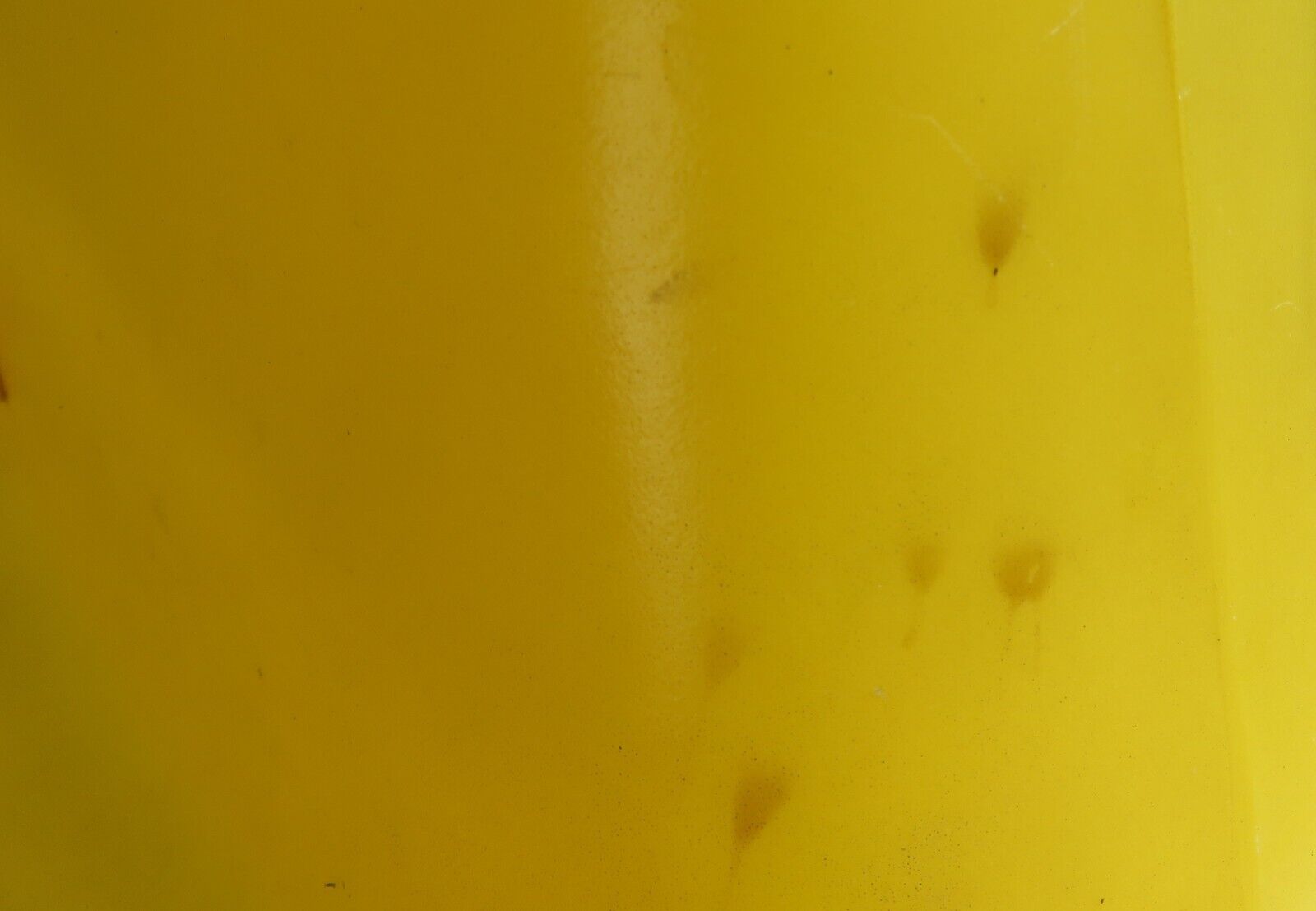 Picture 11 of 19