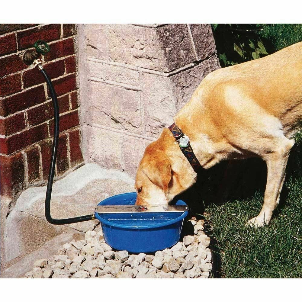 Water Bowl For Dogs Dog Waterer Outdoor Dog Water Dispenser