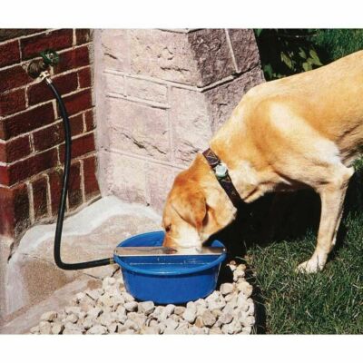 Miller Ever Full Dog Waterer (Automatically Fills To Drinking Level 5Qt)