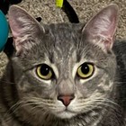maurice16smith