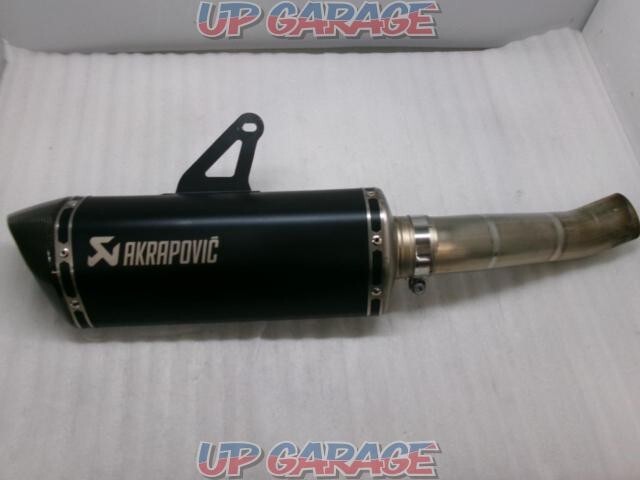 AKRAPOVIC Slip-on Line Titanium Muffler Ducati Monster 1200/S/R