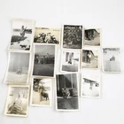 Vintage Photographs of World War II (WW2) in Europe with Dogs, Lot of 13
