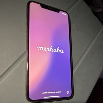 Apple iPhone XS Max 256GB Gold 12MP iOS Smartphone MT612LL/A Slate