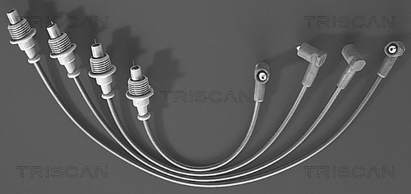 ZüNdleitungssatz Triscan 8860 4331 FüR 306 405 205 Bx Ducato Fiat Peugeot 406 2-image