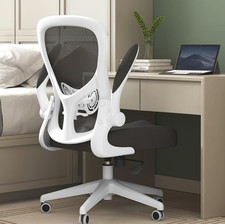 Bionic Ergonomic Office Chair - paid £139,99