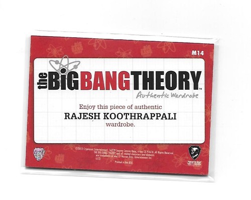 Big Bang Theory Temporada 1 Kunal Nayyar Raj Camisa Verde Armario Disfraz M-14 - Imagen 2 de 2