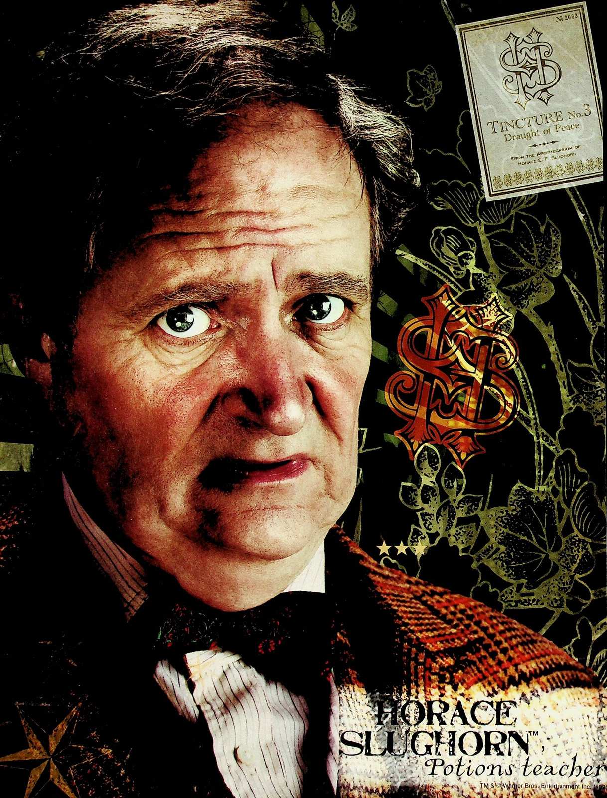 Horace Slughorn - Maestro de pociones - Mini póster de la película de Harry Potter 8"x11"