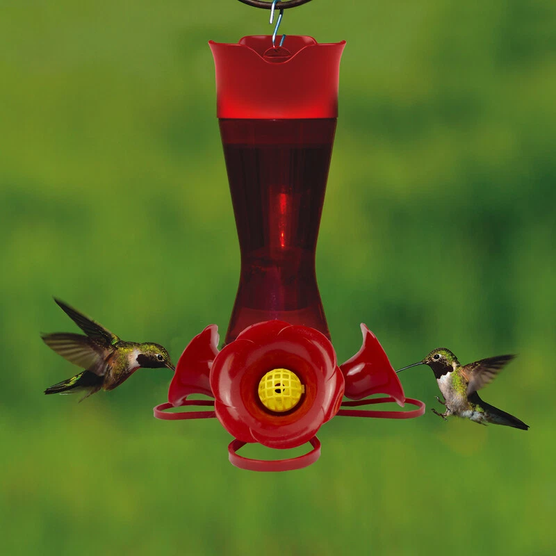 PERKY-PET Bringing Nature to You Hummingbird Feeder Capacity: 8 oz