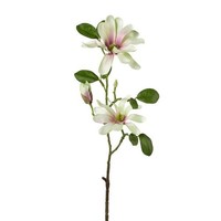 artplants KüNstlicher Zweig Sternmagnolie Blovi, HellgrüN, 60Cm