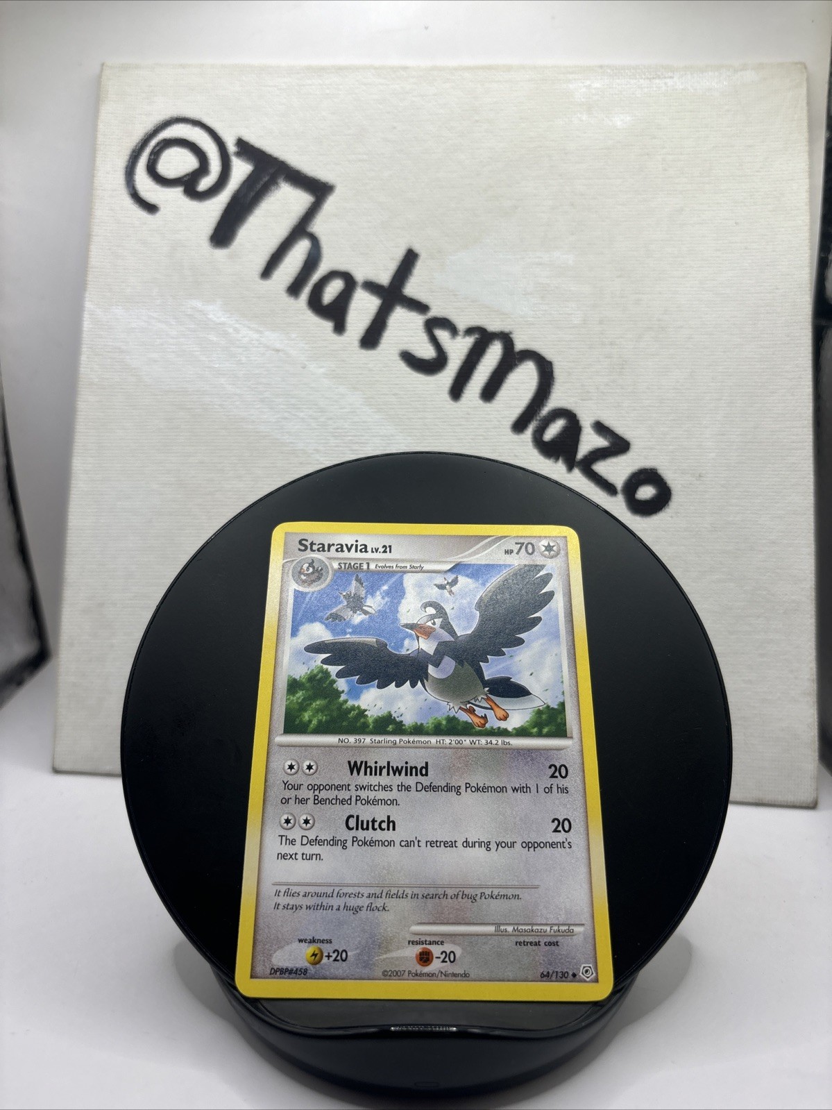 Staravia 64/130 Diamond and Pearl Regular