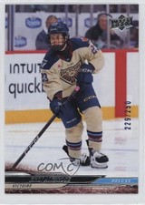 2024-25 Upper Deck PWHL Deluxe 229/250 Erin Ambrose #21 0he