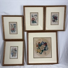 Victorian Set of 5 Framed Chromolithograph Botanical Flower Prints J.M. Kronheim