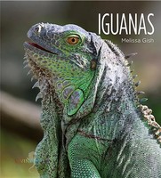 Iguanas Melissa Gish Taschenbuch Kartoniert / Broschiert Englisch 2016