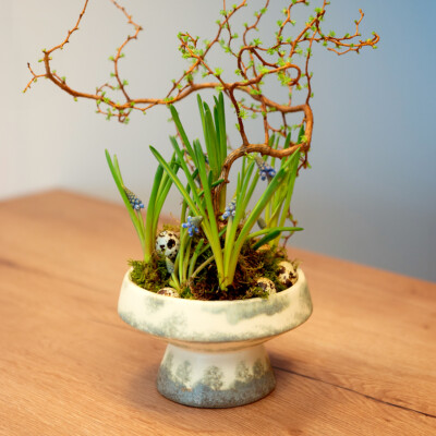 Deko Schale Keramik Creme Graugrün mit Sockel Ø17cm 10cm - Rustikale Deko