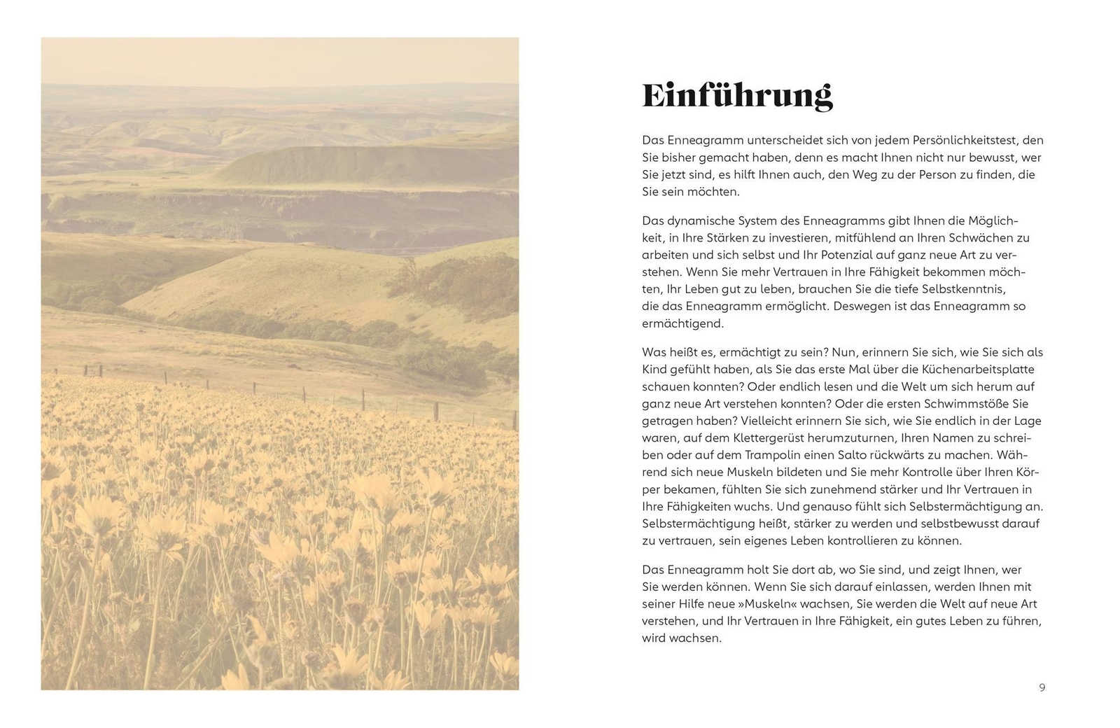 Thumbnail - Laura Miltenberger | Enneagramm Für Einsteiger | Buch | Deutsch (2021)
