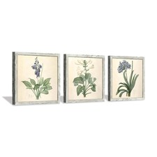 Botanical Wall Art Set - 3 Piece Framed Plant Pictures for Bathroom Bedroom D...