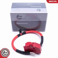 Esen SKV Batterieadapter 96SKV316 FüR BMW 3Er G20 G80 G28 Touring G21 G81 4Er
