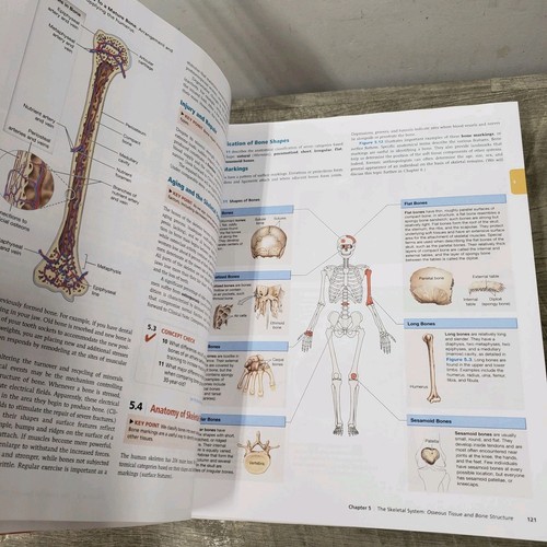 *NICE* Human Anatomy, Martini Tallitsch Nath *9th Ed. Hardcover Book - 2018 - Picture 13 of 19