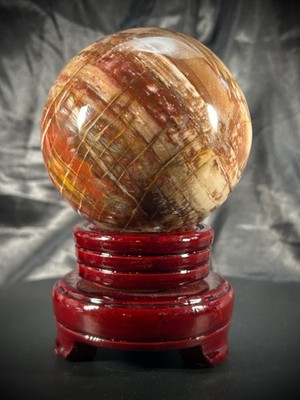 3.83'' Petrified Wood Sphere With Wood Swivel Stand 2lb 14.2oz (1309 grams)