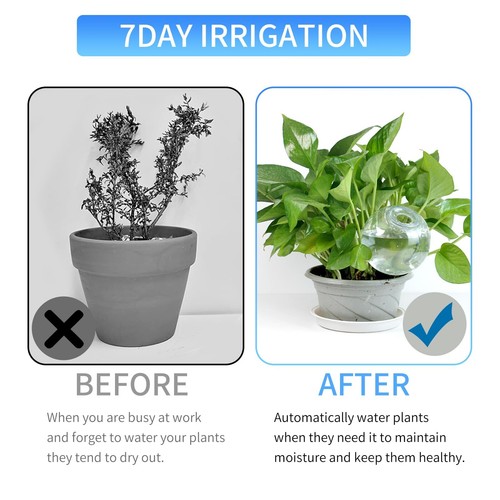 Self-Watering Plant Globes, 18Oz Indoor/Outdoor Watering Bulbs, Large Capacity - Picture 5 of 7