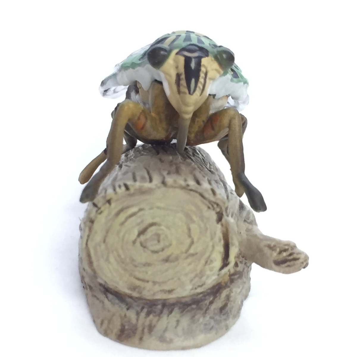 Weekly Japanese Natural Monument Figure #41 Cicada Euterpnosia