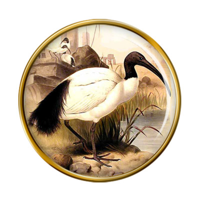Ibis Reversnadel Abzeichen