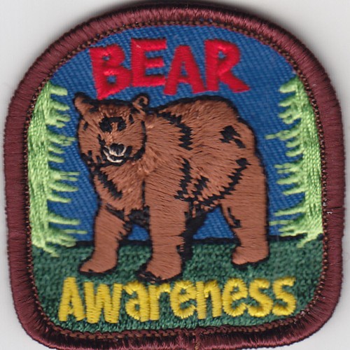 BEAR AWARENESS Iron On Patch Wild Animals Zoo Forest Woods - Picture 2 of 2