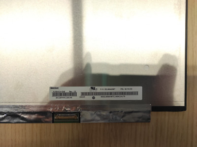 LED Display für Lenovo P52 P53 T590 15,6'' N156HCA-EAB FHD