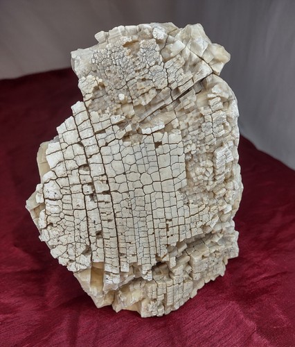 Madera Petrificada, Calcita Miel Cremosa, Bandas, Digna de Museo, Rara 2Lb. 9oz.  - Imagen 6 de 14