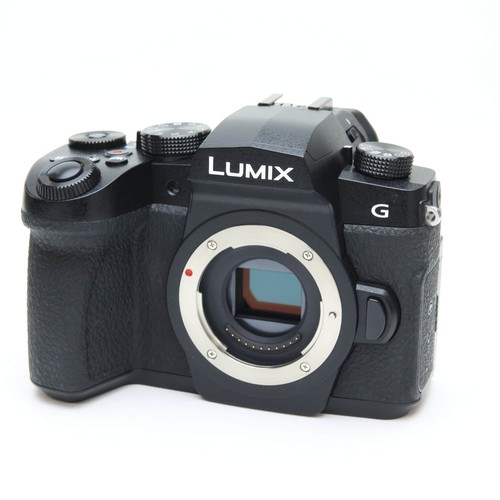 Panasonic LUMIX DC-G99 Body (DC-G95 Japan ver.) #315