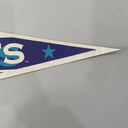 Charlotte Hornets NBA Basketball Sports Souvenir Vintage 90s Pennant Wincraft 30 - Picture 5 of 12