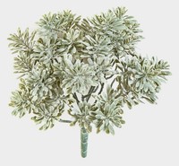 Artplants Deko Crossostephium Algol, Steckstab, Crossdoor, Grau-GrüN, 20Cm