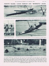 NUOVA ZELANDA La regata Ngaruawahia a Hamilton - Stampa d'epoca 1931