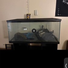 Glass Fish Tank with Stand, 3 ft 4 in Wide, Includes Decorations