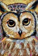 Original painting in oil pastel. Portrait of an Owl. Handmade. 8x12”