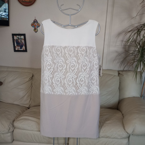 New Studio One New York Dress Size 18 Beige Lace Lined - Picture 1 of 5