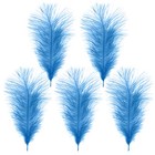 Imagen 104 de 109