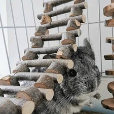Dark Brown Wooden Bird Ladder Toy for Parakeet Training and Climbing Play