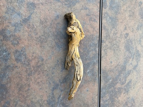 Natural Driftwood for Plants Terrarium Taxidermy Art Projects