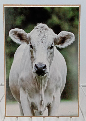 Cow Block Sign Picture White Animal Face Black Nose Wood Farm House Country NEW