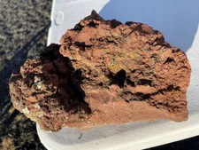 One Large, Unique Lava Rock Planter– All Natural, for Succulents and Air Plants